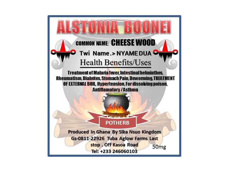 Alstonia Boonei (Cheese wood) — Nyame Dua