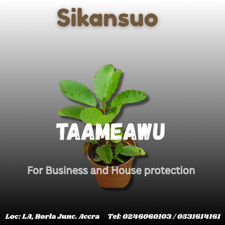 Taameawu Plant Pot